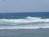 dsc01120_fs.jpg