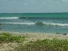 dsc01124_fs.jpg