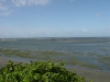 dsc01125_fs.jpg