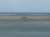 dsc01126_fs.jpg