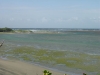 dsc01128_fs.jpg