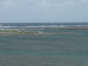 dsc01129_fs.jpg
