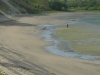 dsc01130_fs.jpg